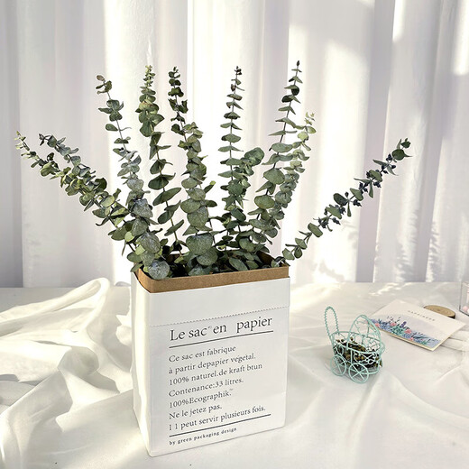 Eucalyptus leaf dried flower bouquet, natural air-dried branches, light luxury creative DIY decorative material ornaments, original color eucalyptus