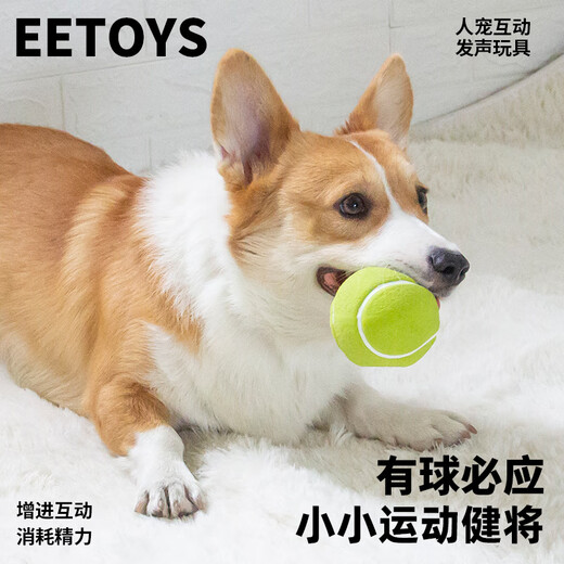 EETOYS Green Tennis Dog Toy Sound Interactive Washable Teeth Cleaning Ball Pet Supplies