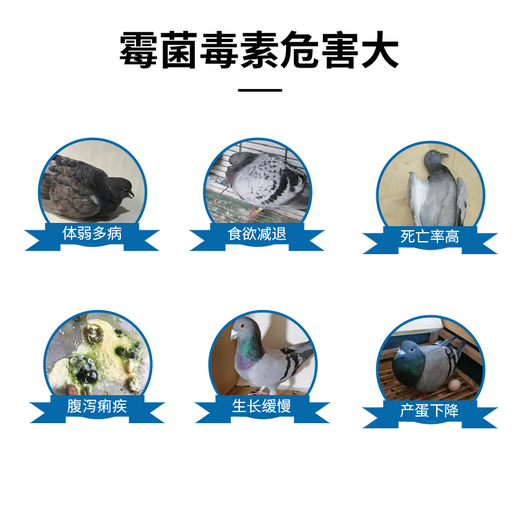 Unbranded antifungal agent for pigeons, pigeons, veterinary use, cattle, sheep and poultry, special pigeon feed additive to remove mycotoxins, one bag, 500g/bag, just eat it