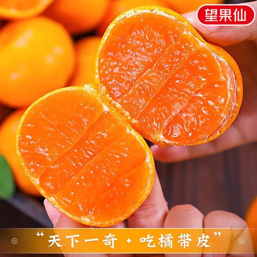 京地达浙江临海涌泉蜜桔新鲜水果橘子桔子重9.2斤单果65mm源头直发包邮