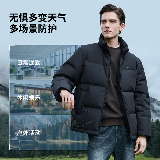 Septwolves Gänsedaunen-Graphen-Daunenjacke, Winter, Stehkragen, warme Herren-Pendler-Dickjacke, Schwarz, L