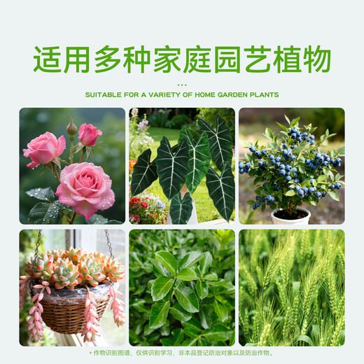 Stanley Difenoconazole Anthracnose Leaf Spot White Powder Black Spot Commonly Used Fungicides for Rose Flower Diseases and Pests 100g Comes with a graduated dropper when ordering