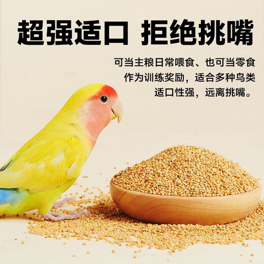 Bird food eaten by budgerigars: Black Phoenix Munnia shelled millet red millet bird feed yellow millet mixed shelled yellow grain rich in protein fiber healthy meat growth 550g yellow millet parrot food