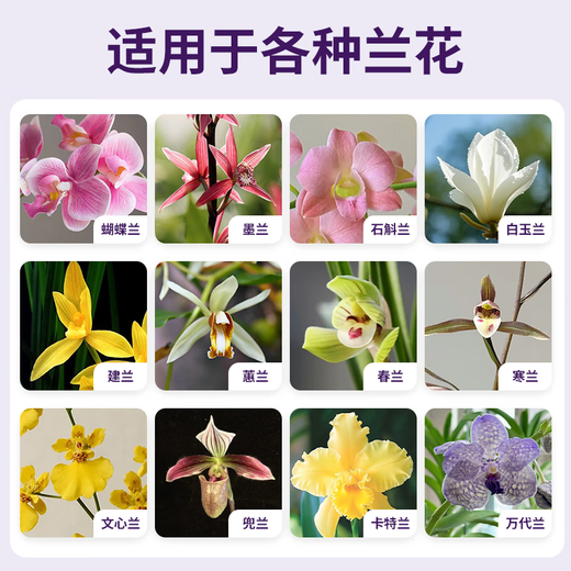 Jinyate nutrient solution orchid multi-arrow special fertilizer to promote flowering fertilizer bud bursting, flowering and rooting without dilution 500ml