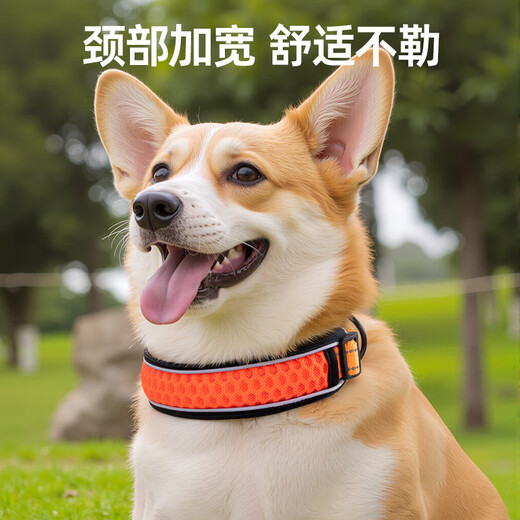 Dog collar neck set dog leash collar size medium dog walking rope leash pet dog collar blue collar XS neck circumference 28-30cm recommended 3-15Jin Jin equals 0.5 kg
