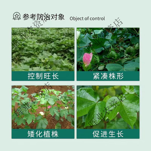 Guoguang Guoguang methylphenidate methiamine to support the growth hormone grape tomato pepper watermelon strawberry cotton chlormequat enlargement agent 100g*1 pack