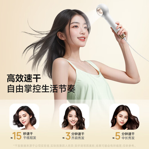 VTT Germany Lollipop high-speed hair dryer household silent negative ion high-power hair care hair dryer silent low-noise birthday gift for women only