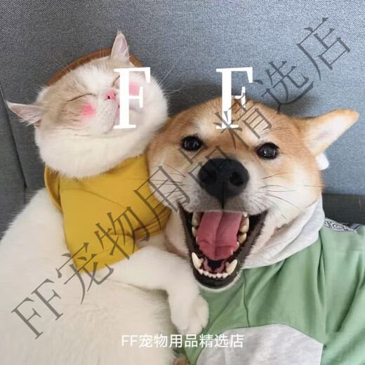 Kaosen Vegetarian Dog Food Vegan Low-Fat Light Tear-Stain Removal Vegan Dog Food Natural Plant Universal Dog Food Vegetarian Dog Food Bulk 5Jin Jin equals 0.5kg 0lb