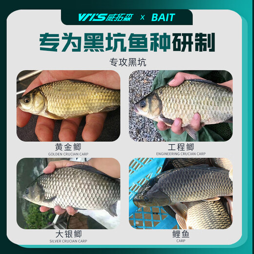 Weituosen Grade Pumpkin Cake 300ml