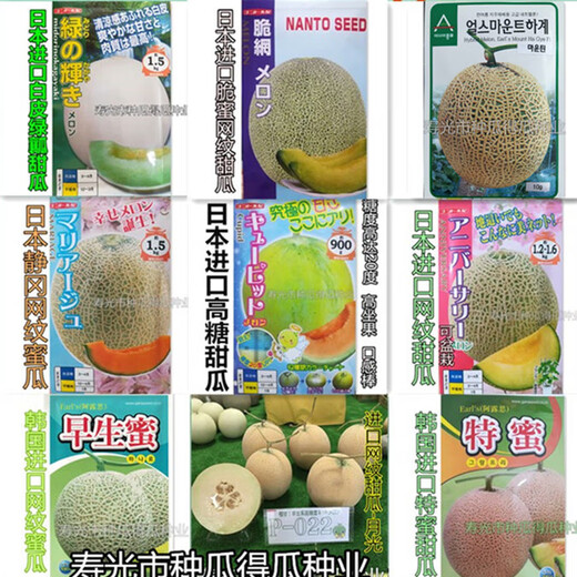 Japan imported reticulated melon seeds, sweet watermelon horn honey seeds, fruit spring vegetable seeds, emerald reticulated melon seeds, 100 capsules