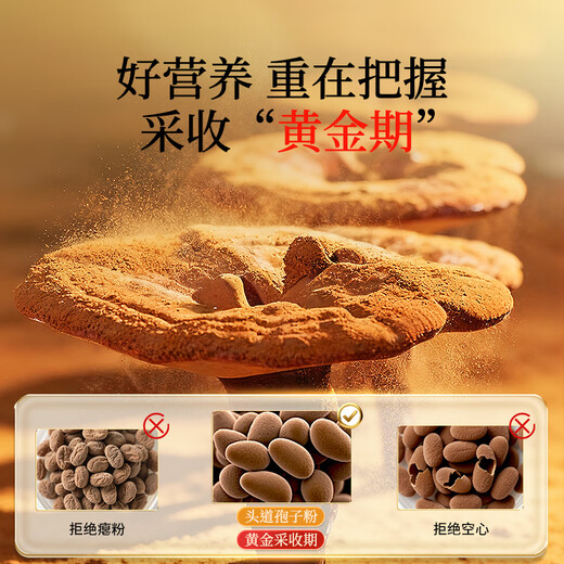 Tongrentang Brand Tongrentang Health se spécialise dans les capsules de poudre de spores de Ganoderma brisées Qingyuantang pour renforcer l'immunité