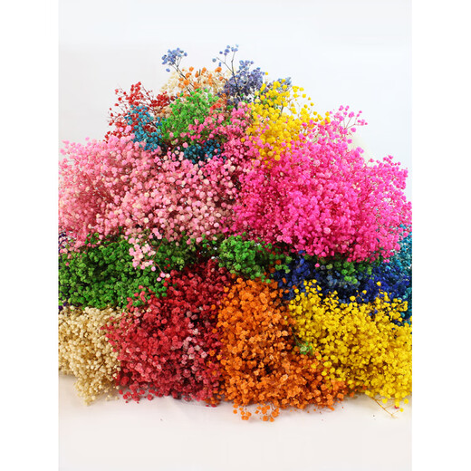 Jatu Dace Festival Dried Flowers Everlasting Gypsophila Real Flowers Home Wedding Decoration Flower Arrangement Window Soft Decoration Landscaping Dream Star Yunnan Straight Everlasting Gypsophila Light Pink About 120g