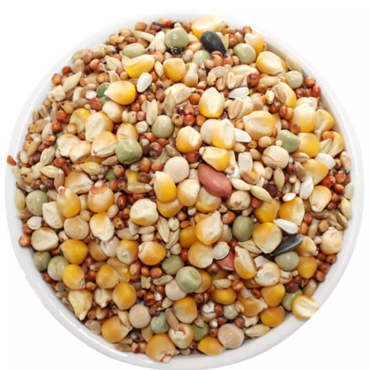 Other horticultural high-quality nutritious pigeon food, meat pigeons, ornamental pigeons, homing pigeons, racing pigeons, Yuanbao pigeons, young pigeon feed, breeding pigeons, pigeon food with corn 20 Jin Jin equals 0.5 kg