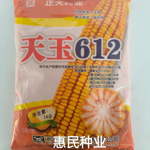 Zhengda Seed Tianyu 612 hybrid corn seed, field seed, yellow white shaft, dent type, high yield, Tianyu 612 corn 1kg, one pack