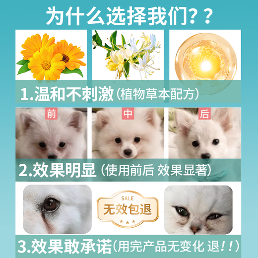 TYZAYR Japanese pet-specific tear stain powder for dogs, Pomeranian Bichon Eye Drops, can be used to remove tear stain powder + tear stain wipes (comes with brush)