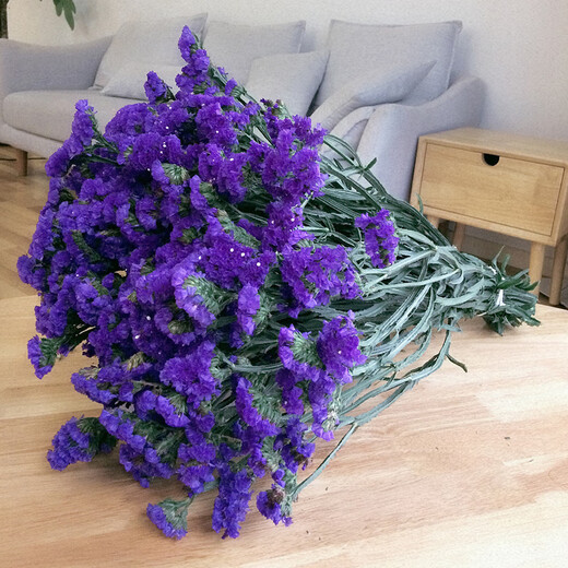 LDVEP Yunnan Forget-Me-Nots Dried Flower Bouquet of Gypsophila Real Flowers Purple Forget-Me-Nots 2Jin Jin equals 0.5kg