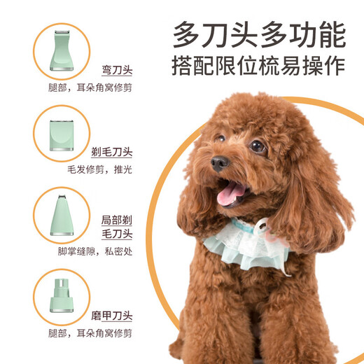 BLANLODY dog shaver, cat foot shaver, pet electric hair clipper, nail polishing dog hair clipper, silent and non-stuck, 4-in-1, mint green, body hair + foot hair + nail polisher + curved blade