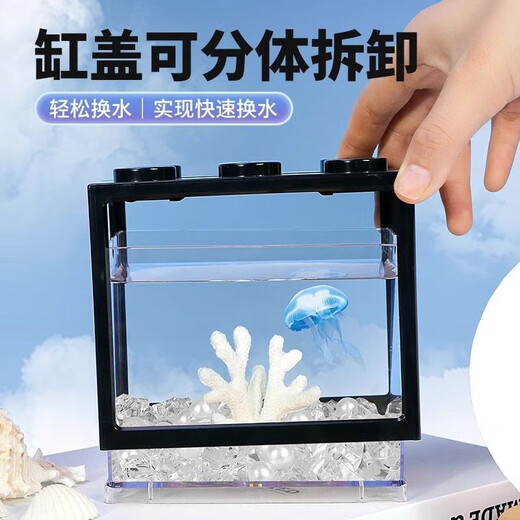 Desktop fish tank, small household building block tank, ecological tank, aquarium, betta fish tank with night light, ambient light ornament, black betta fish tank + two lights + 1CM small luminous stone, about 50 pieces