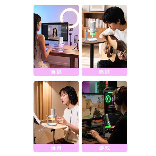 TAKSTAR GX3 computer microphone game noise reduction microphone live recording wired radio microphone usb mobile phone computer desktop laptop online class karaoke black official standard (SF Express)