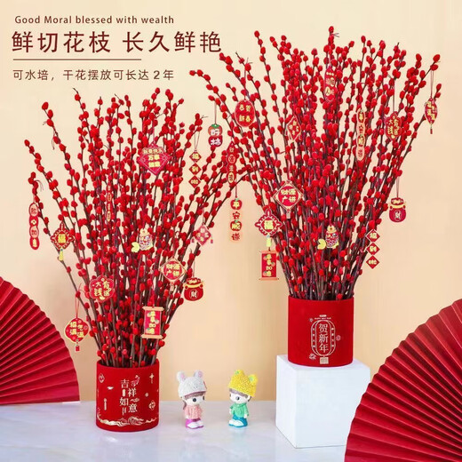 Silver willow real flowers, fresh branches, New Year's Eve flowers, red dried flowers, lucky bucket, silver willow, hydroponic plants, flowers, living room interior decoration, high-quality A-grade silver willow festive red 60 cm, 30 pieces + 2 small lanterns