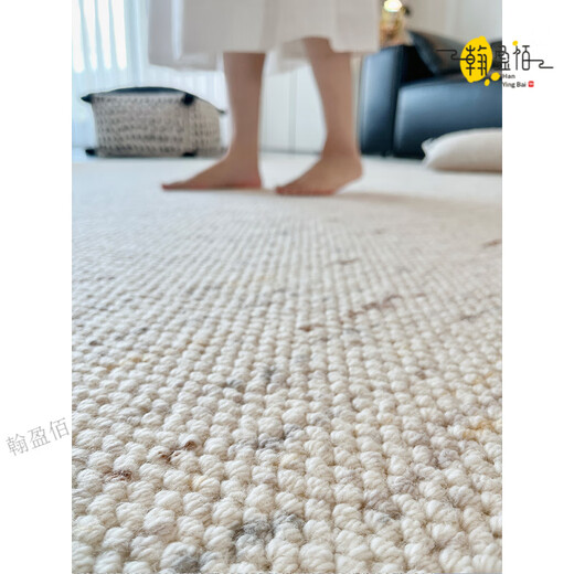 Australian imported wool carpet, living room, high-end light luxury, stain-resistant, sofa, coffee table, carpet, bedroom, antique style thickened mansion (simple, easy to build and easy to care for) 2.0m*3.0m