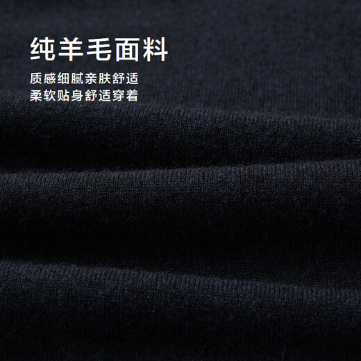 Heilan House (HLA) long-sleeved sweater for men 25 new pure wool half turtleneck soft sweater for men winter dark blue pattern G6 S 165/84A recommended 113~124Jin Jin equals 0.5 kg