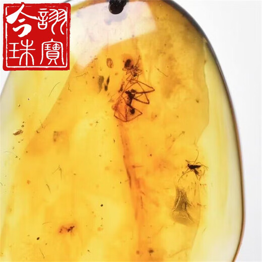 Jinxu Natural Amber Insect Amber Pendant Baltic Sea Beeswax Insect Pendant Insect Pendant 3.31g