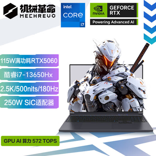 Mechanical Revolution Aurora