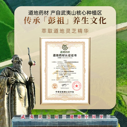 元生泰破壁灵芝孢子粉胶囊增强免疫力武夷山有机种植灵芝补品中老年营养 1盒 240粒【礼盒装-30天量】日常调理