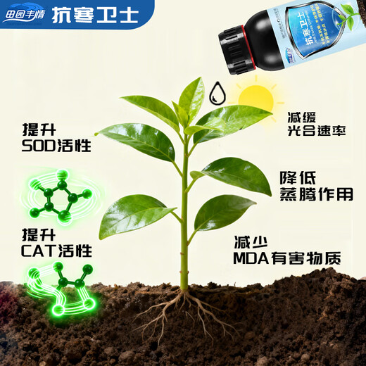 Pastoral Fengqing Crop Cold-resistant Guard Anti-freeze and cold-resistant flower and fruit vegetable greenhouse fruit tree anti-freeze damage and anti-freeze 1000g 1 bottle Cold-resistant Guard
