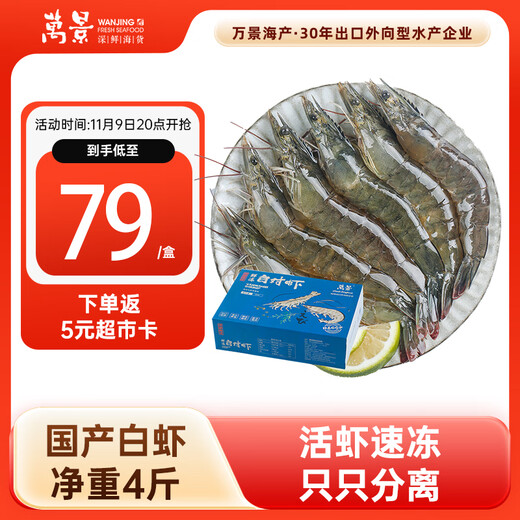 Wanjing North Seafood Frozen White Shrimp Domestic White Shrimp Single Frozen No Ice Net Weight 4Jin Jin is equal to 0.5kg 100-120 pieces Family Dinner
