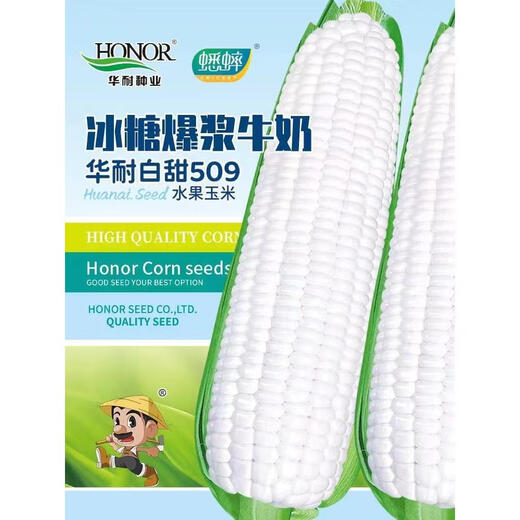 Молочные фрукты, семена кукурузы, клейкие семена риса, белая сладкая хлопающая мякоть, сладкая весна, лето, осень, четыре сезона, личинки кукурузы, сладкая 488, каменный сахар, хлопающая мякоть, семена кукурузы из молока, 100 г оригинал