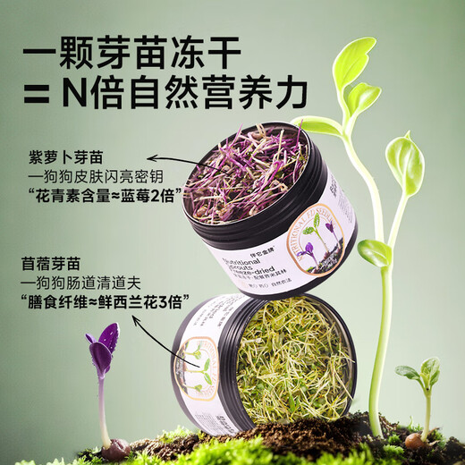 Banta Gold Medal Banta Alfalfa Dental Seedlings Purple Carrot Sprouts Dog Snacks Freeze-Dried Natural Herbal Food Supplement 7 Days Slow Bud Alfalfa Dental Sprouts Freeze-dried 6g 1 Can