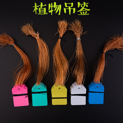 100 pieces of hang tags, plant signs, tree signs, classified color cards, plastic, waterproof, light-fast, non-fading P 2.5*3.6cm green, 100 pieces