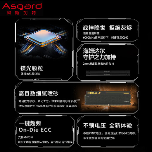 Asgard 64GB (32GBx2) DDR5 6000 desktop memory Heimdall vest strip magnesium particles CL40 black thick armor