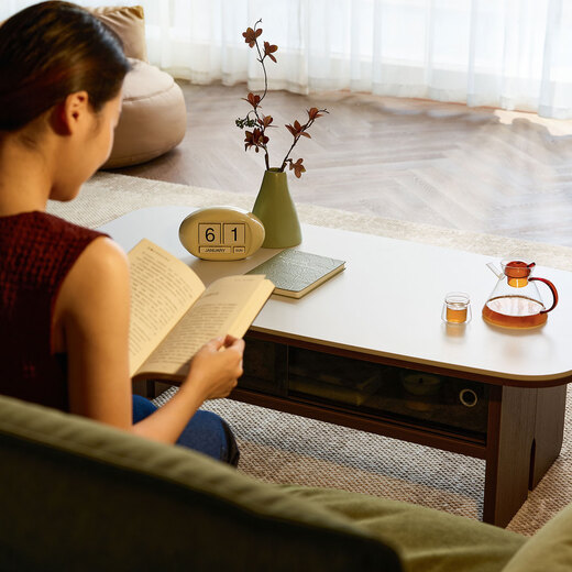 Lin's home skeleton line TV cabinet for living room 2025 new floor-standing storage small apartment coffee table finished cabinet YZ1M walnut + white coffee table B