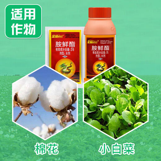 Gold plant dragon 5 amine fresh ester fat cotton cabbage flower preservation and fruit coloring growth growth regulator 15ml 500ml