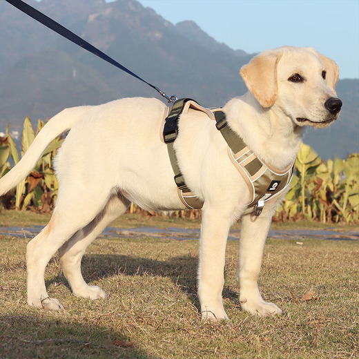 COCS dog harness for medium and large dogs, vest-type traction rope, anti-collision and explosion-proof Labrador Golden Retriever Shiba Inu border collie dog leash 1 Khaki dog harness - 1.5m dog leash 1 L-(chest 54-71cm recommended 28-45 Jin Jin equals 0.5 kg)