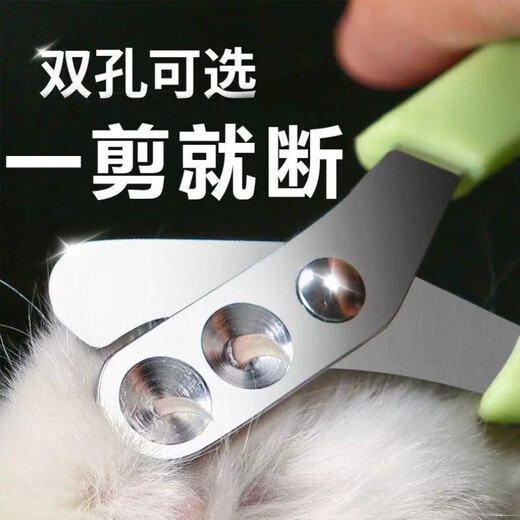 Cat nail scissors, special anti-scratch nail scissors, nail clippers, cat claws, pet dog supplies, kittens, upgraded orange and white, large and small double round holes/easy to use and safe