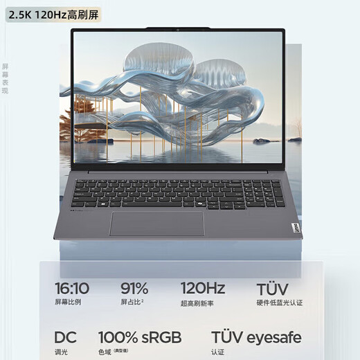 ThinkPad联想ThinkBook 16P 2025款50系显卡可选 补贴20%高性能3D建模制图渲染移动工作站笔记本电脑TB16+ 十四核酷睿U5 32G 2T 4060独显16+ 超1w+买手推荐丨性能独显丨全新升级