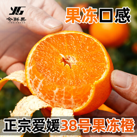 Jinxian Fruit Sichuan Ehime Nr. 38 Gelee-Orange Frisches Obst Orange Saisonal gepflückte Zitrusfrüchte Handgeschälte Orange Orange Empfehlung des Filialleiters Ehime-Gelee-Orange Nettogewicht 8Jin Jin entspricht 0,5 kg / einzelne Frucht 80 mm+
