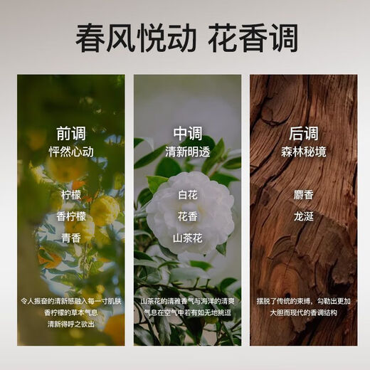 Fanxi Protein Curl Elastin Women's Moisturizing and Styling Curly Hair Q-Elastic Wool Curl French Perm Light Styling Milk Protein Curl Elastin 300ml*1 Bottle