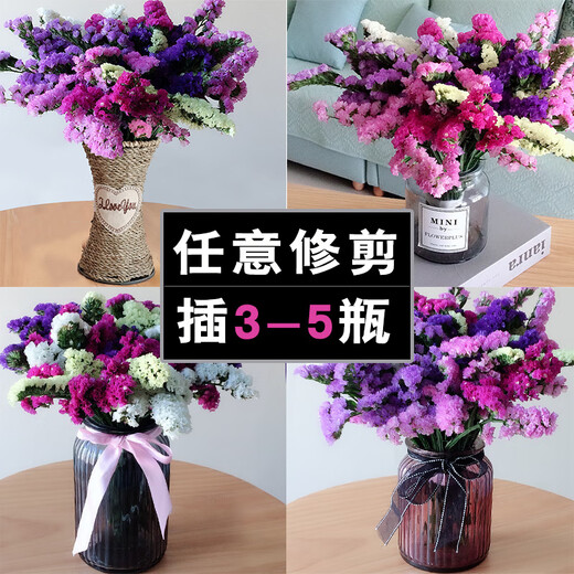 LDVEP Yunnan Forget-Me-Nots Dried Flower Bouquet of Gypsophila Real Flowers Purple Forget-Me-Nots 2Jin Jin equals 0.5kg