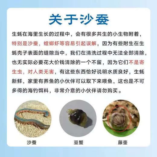 Fresh Rushan oysters, fresh and authentic Rushan oysters, 5 Jin Jin equals 0.5 kg box/10 Jin Jin equals 0.5 kg box 4XL large oysters (17-28 pieces per box) with box 10 Jin Jin equals 0.5 kg