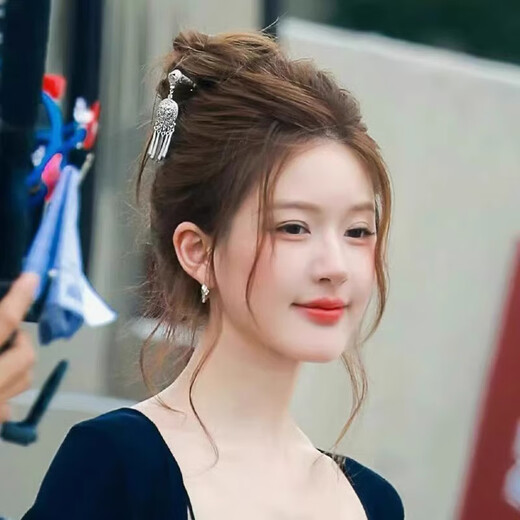 Zhao Lusi and Xu Yan's same style tassel hairpin, new Chinese style ancient style Hanfu updo headwear, daily wear for senior women, silver ethnic style tassel hairpin