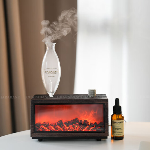 He Jiagong Fireplace Aromatherapy Machine Cold Aromatherapy Device Solid Wood Graduation Gift New Home Warming Gift for Boys B Exclusive Edition No. 16 Oriental Jasmine Green + No. 35 Jiabo