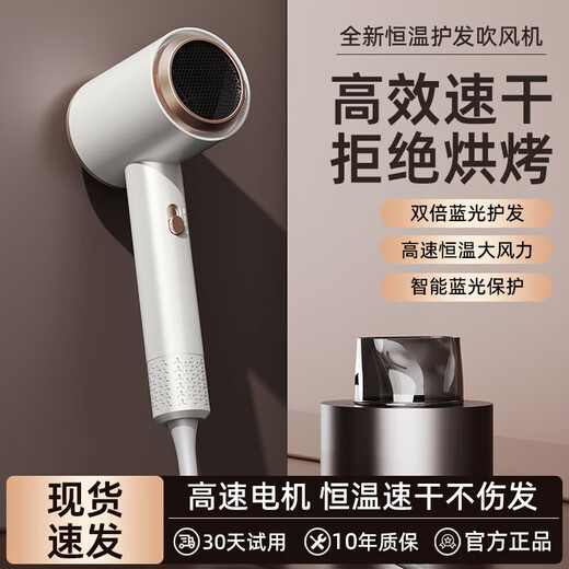 New high-speed silent negative ion hair dryer personal protective appliance strong wind hair dryer for hair salon, hotel and dormitory 311 high-speed motor gray 2200W