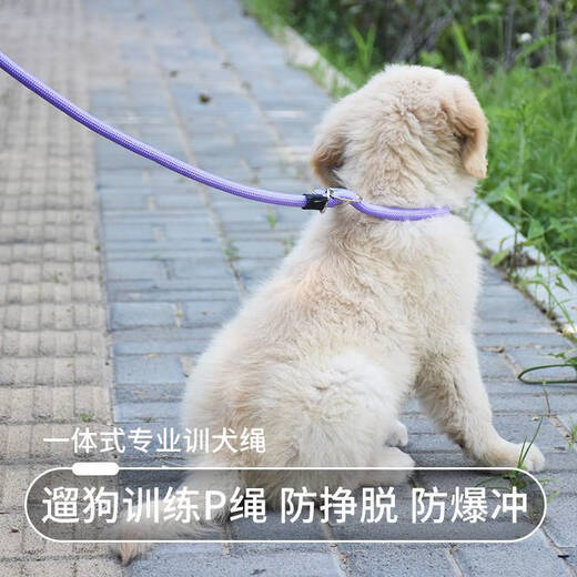 Guazhou Mu Dog Rope Explosion-proof P Chain Dog Training Grade P Rope Integrated Thick Traction Belt Small, Medium and Large Dog Traction Rope Supplies Light Green Explosion-proof P-P Chain with White Handle 1.5 Meter Long M Size 1.0 cm Thick 10 Jin Jin is equal to 0.5 kg -80 Jin Jin is equal to 0.5 kg