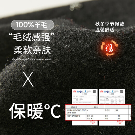 Zhenxiang wool hat women's beret autumn and winter versatile high-end painter hat showing face small pumpkin hat keeping warm black one size 55-58cm