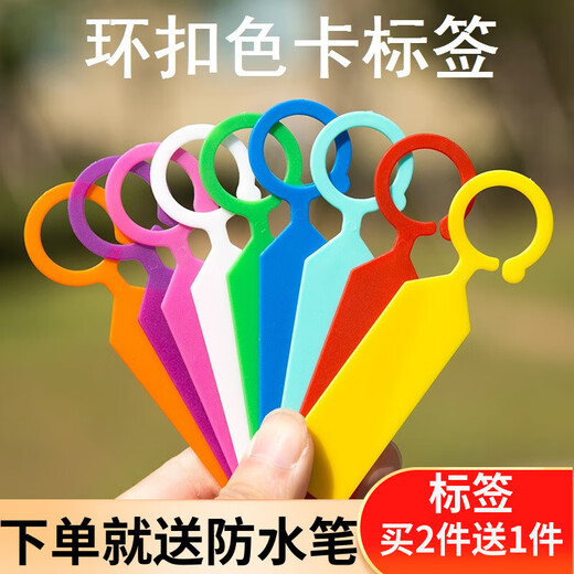 Ring label thickened plastic waterproof plant mark classification color card hanging mark grape seedlings purple 100 pieces